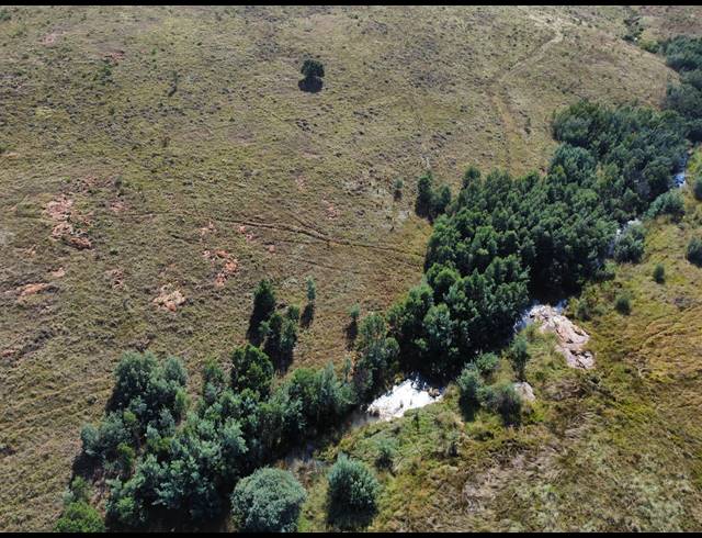 254HA FARM FOR SALE IN MIDDELBURG RURAL